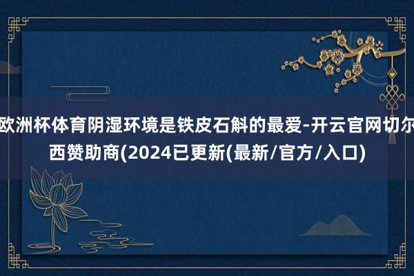 欧洲杯体育阴湿环境是铁皮石斛的最爱-开云官网切尔西赞助商(2024已更新(最新/官方/入口)